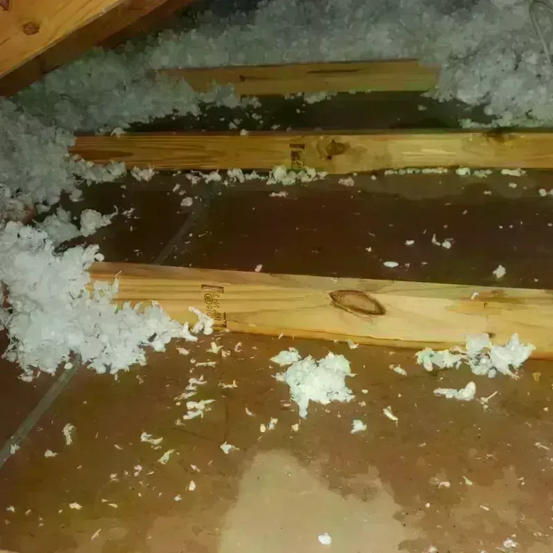 Attic Water Damage in Winchester, TN