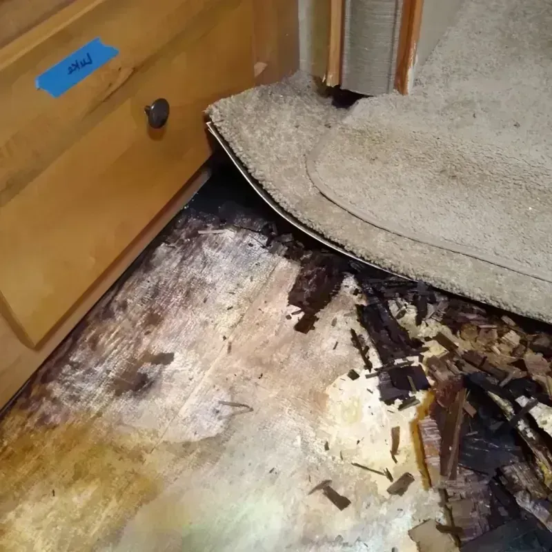 Wood Floor Water Damage in Winchester, TN